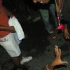 Bacchanal Night- La Dolce Vita 