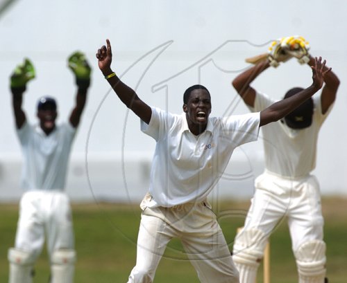 Ricardo Makyn/Staff Photographer.
CCC's Mclean makes a appeal againts Jamaica in thier West Indies Cricket Board Championship match on Tuesday 24.3.2009.