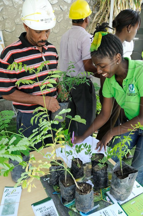 Rudolph Brown/Chief Photographer
Sophia Lowe, (right) Health, Safety and Environment Technician of Caribbean Cement Company show David McDonald, (left) the different trees at the environmental week plant show at the company on Friday, June 5-2009
