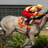 HorseracingA20090727CH