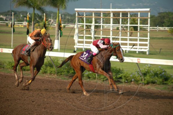 Colin Hamilton/Freelance Photographer
Horseracing at Caymanas Park on Saturday May 8, 2010.