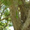 DSC00060