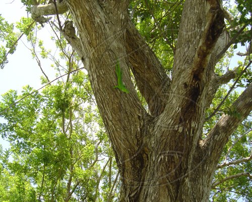 DSC00063