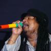 Jazz-festival-(47).jpg