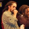 Marleys 05.jpg