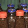 Jerk Sauce