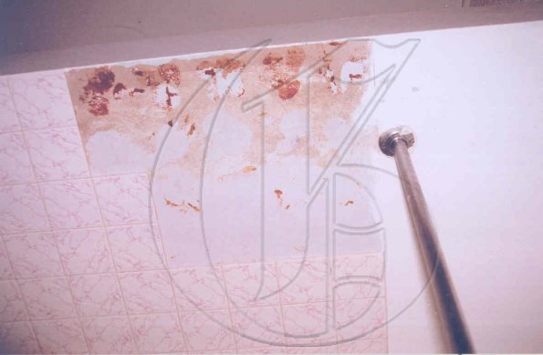 pict 4.jpg