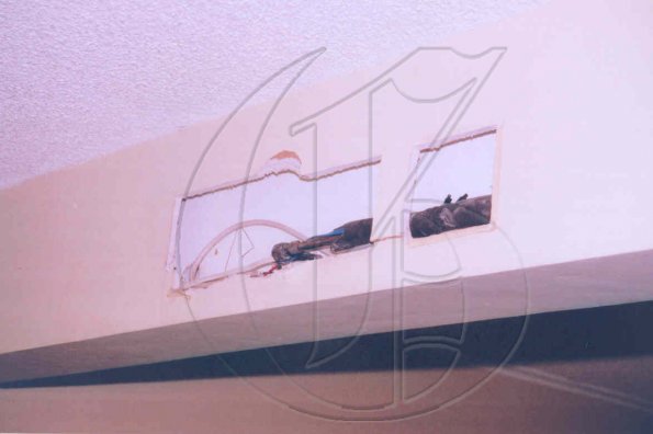 pict 8.jpg