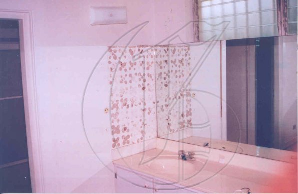 pict 9.jpg