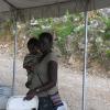 Usain Bolt's Land Signing Function