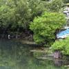 Norman Grindley /Deputy Chief Photographer 
The Duhaney river is rising near to sevral homes in New Heaven in St. Andrew yesterday.