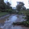 DSC00203