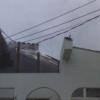 user-photos