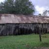 DSC00223