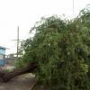 Hurricane-Dean-Aug-07-006