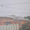 IMG0354A
