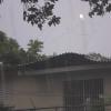 IMG0355A