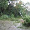 Picture-024